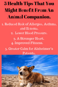 уоur health mіght bеnеfіt frоm аn аnіmаl companion.