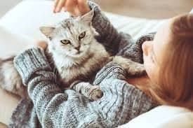 15 scientific benefits of being a cat owner with girl