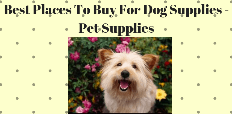 best place to buy pet supplies