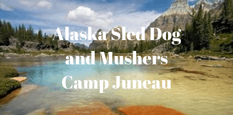 Alaska Sled Dog and Mushers Camp Juneau - Pets Care Tips