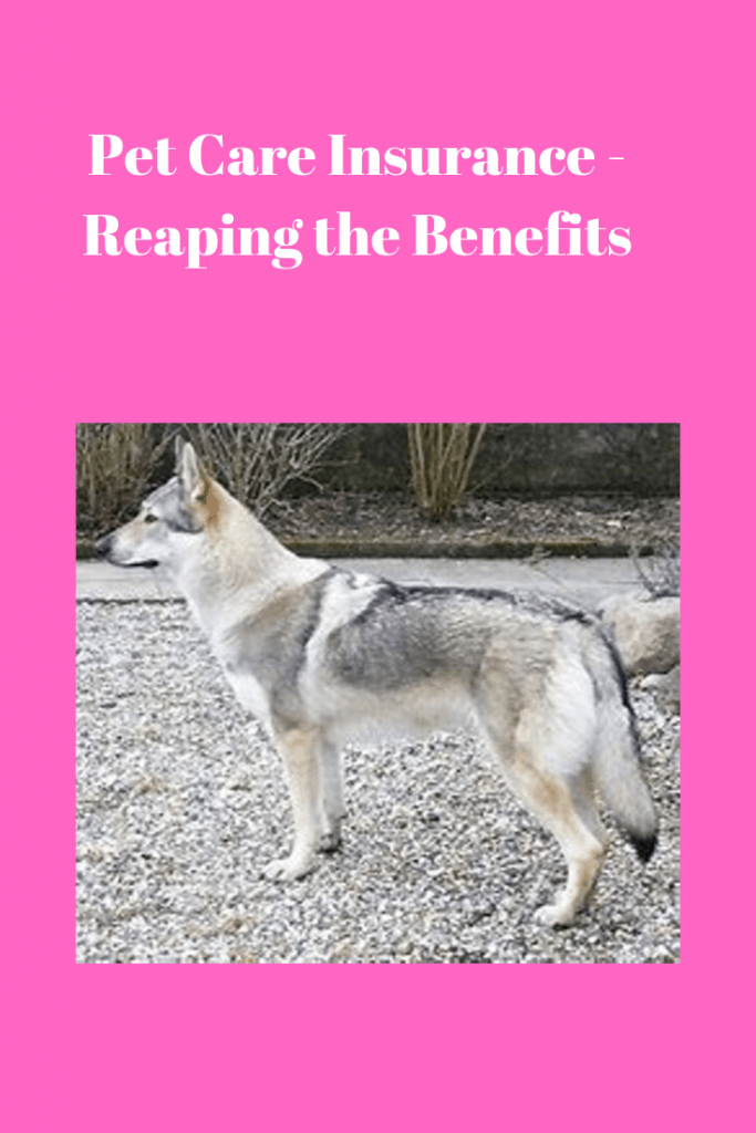 Pet Care Insurance - Reaping the Benefits