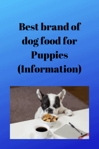 Best brand of dog food for Puppies