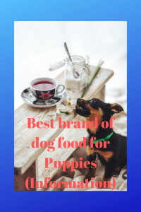 Best brand of dog food for Puppies (Information)