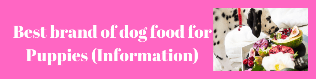 Best brand of dog food for Puppies 