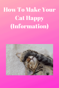 our Cat Happy (Information)