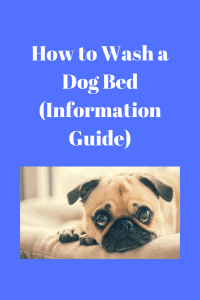 Wash a Dog Bed (Information Guide)