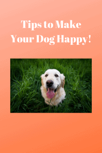 happy dog tips