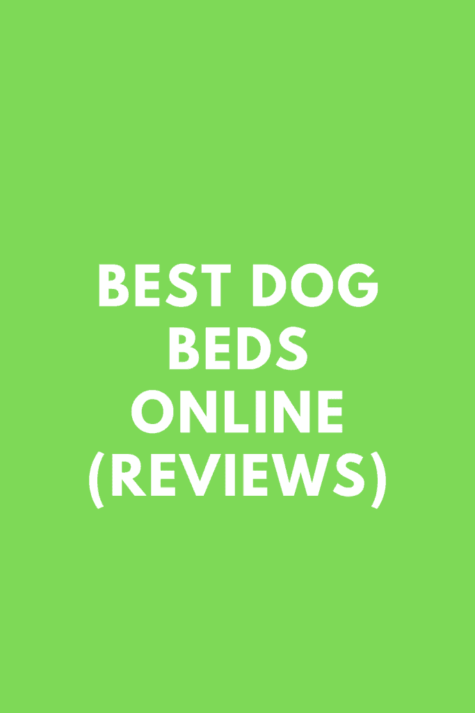 Best Dog Beds Online (Reviews)