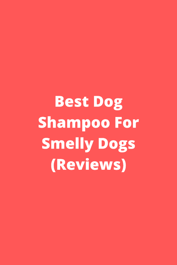 Best Dog Shampoo For Smelly Dogs (Reviews)