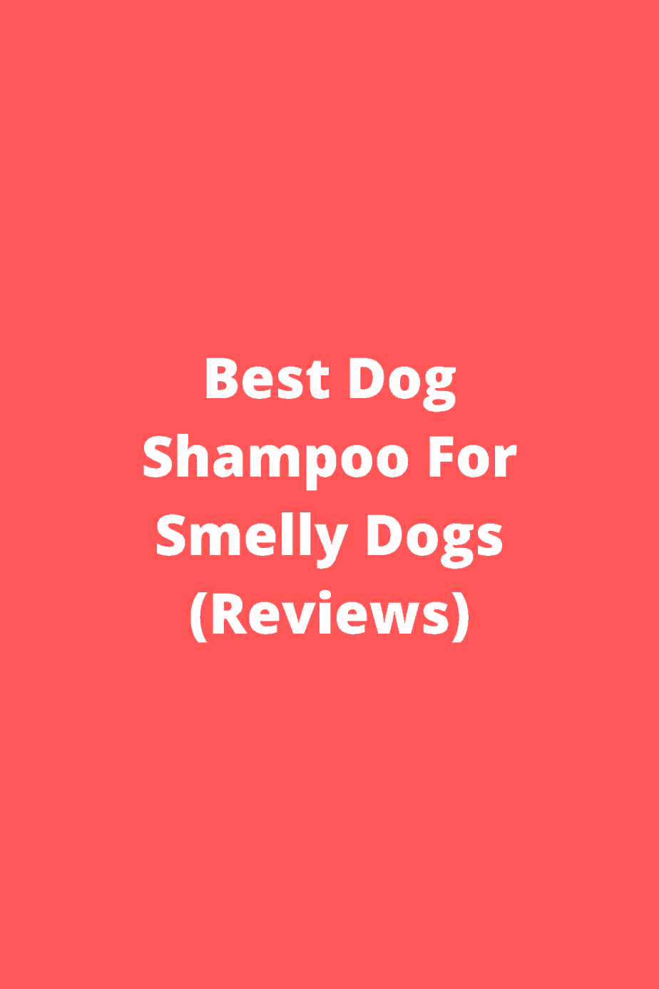 best dog wash for smelly dogs