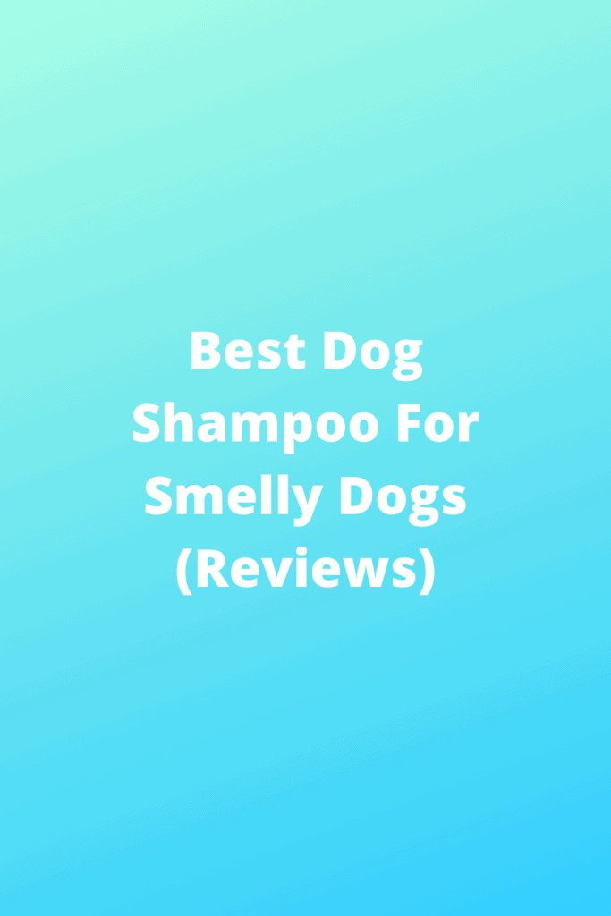Best Dog Shampoo For Smelly Dogs