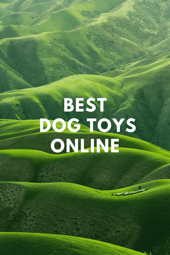 Best Dog Toys