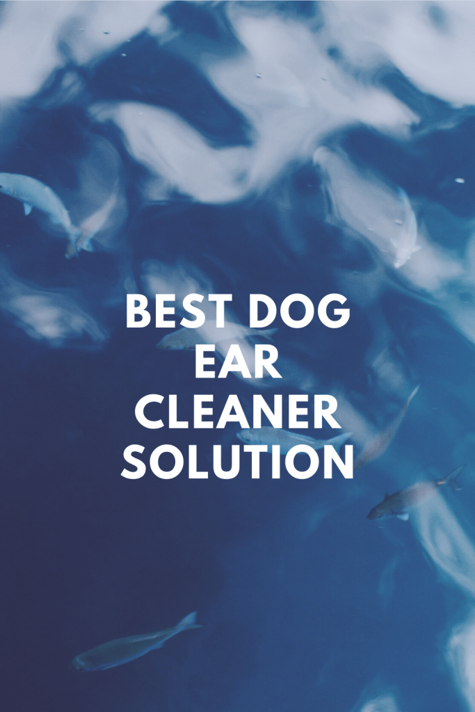 Best dog ear cleaner solution