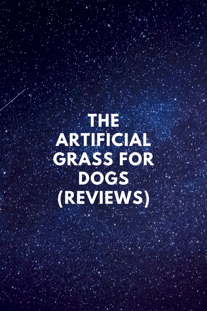 The Artificial Grass For Dogs (Reviews)