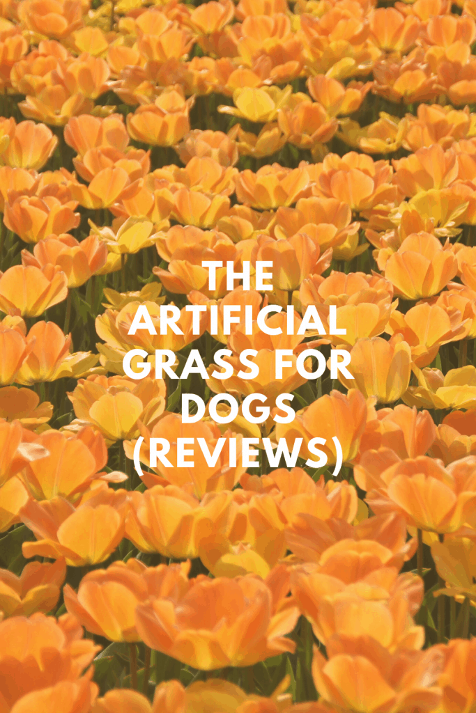 Artificial Grass For Dogs (Reviews)