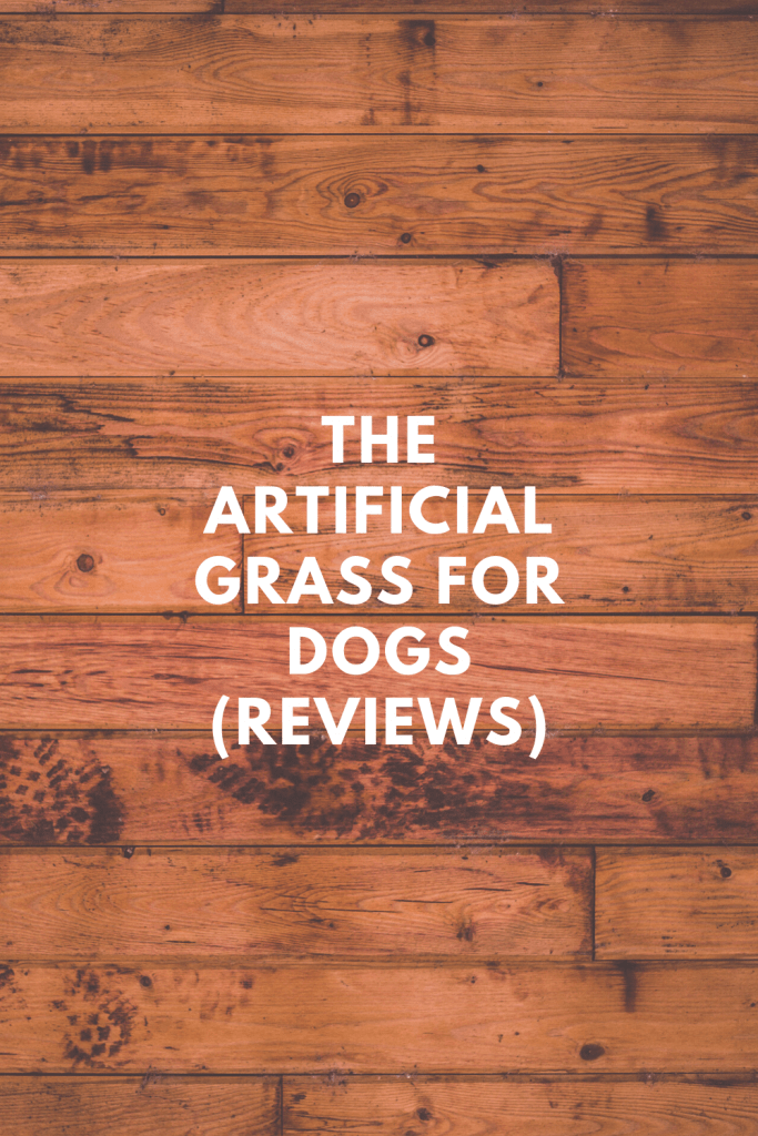 Grass For Dogs (Reviews)