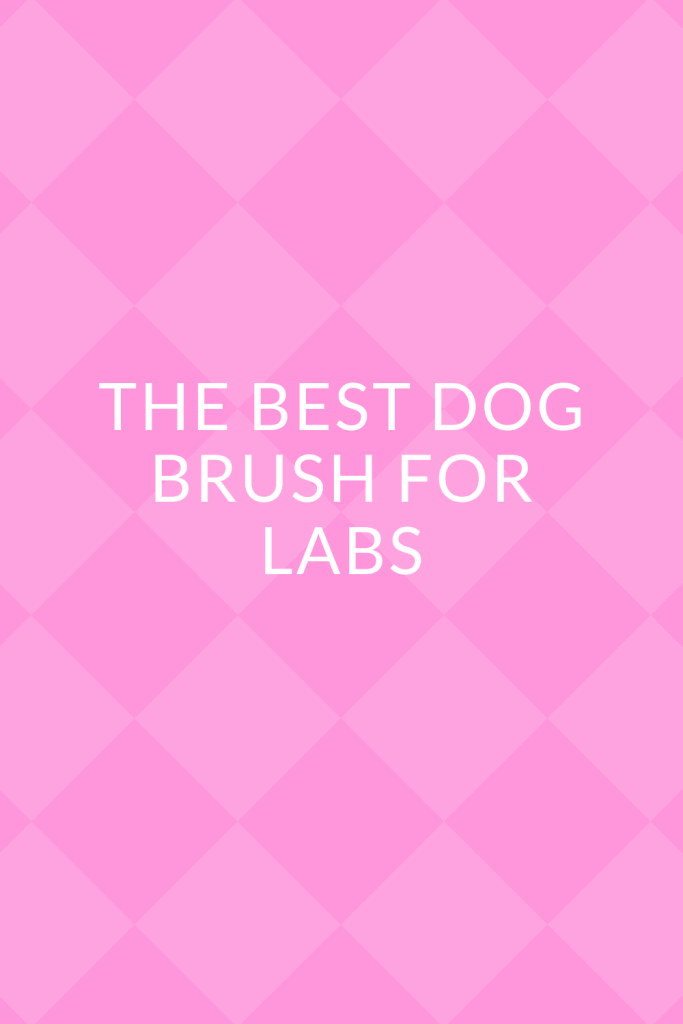 The Best Dog Brush For Labs