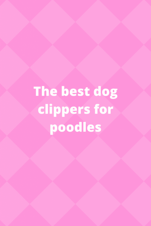 dog clippers for poodles