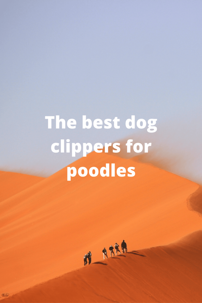 dog clippers for poodles