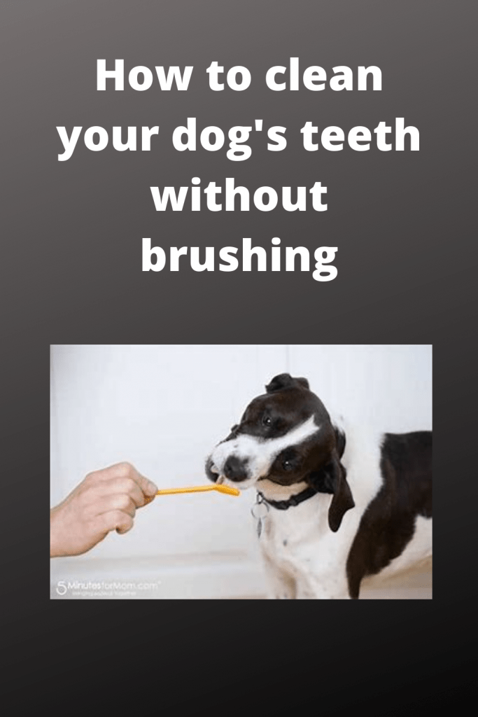 clean your dog's teeth without brushing